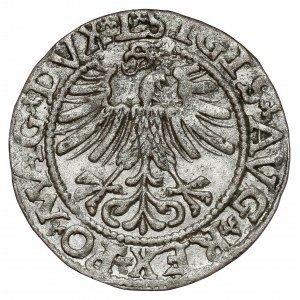 Zikmund II August, půlpenny Vilnius 1562 - TOPOR - vzácný