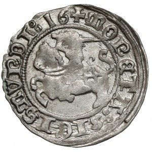 Zygmunt I Stary, Półgrosz Wilno 1516 - kółko nad koniem