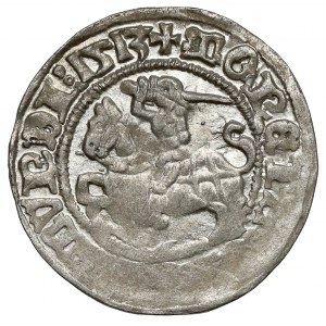 Sigismund I. der Alte, halber Pfennig Vilnius 1513 - volles Datum