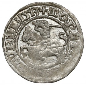 Žigmund I. Starý, polgroš Vilnius 1513 - celý dátum