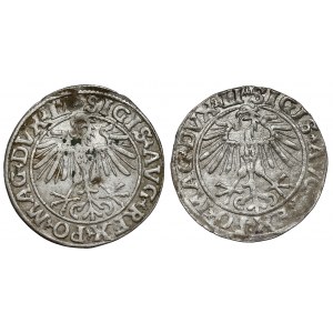 Sigismund II Augustus, halber Pfennig Vilnius 1550 und 1551 (2 Stück)