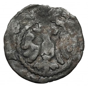 Kazimír III. Veliký, krakovský denár - Přilba, s nápisem na aversu