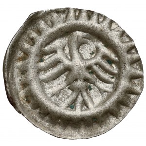 Brandenburg, Friedrich II (1440-1470) und Albrecht Achilles (1470-1486) Hohlpfennig