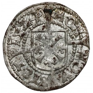 Pomořansko, Jiří I. a Barnim XI. zbožný, Wit Szczecin 1524