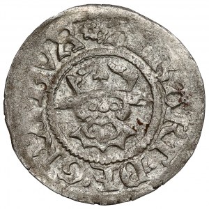 Meklenbursko, Albrecht VII, Dreiling (1503-1515)