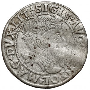Sigismund II. Augustus, litauischer Fußpfennig 1555, Vilnius