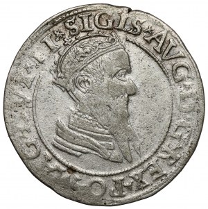 Zygmunt II August, Czworak Wilno 1569 - rzadki