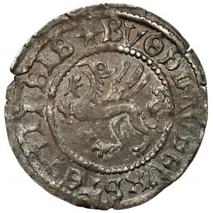 Pomerania, Boguslaw X, Szeląg Szczecin 1506