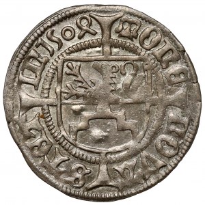 Pomerania, Boguslaw X, Szeląg Szczecin 1504