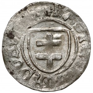 Casimir IV Jagiellonian, Szeląg Toruń - stars