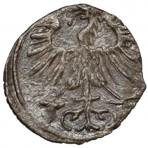 Sigismund II Augustus, Vilnius Denarius 1556