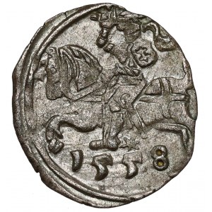 Zikmund II Augustus, Vilniuský denár 1558