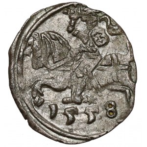 Sigismund II Augustus, Vilnius Denarius 1558