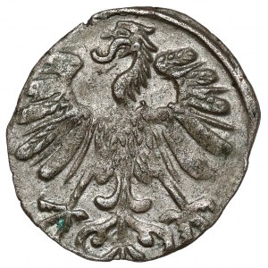Sigismund II Augustus, Vilnius Denarius 1558