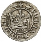 Casimir IV Jagiellonian, Half-penny Cracow - letters TM - rarity