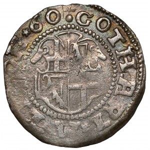 Orden der Ritter des Schwertes, Gotthard Kettler, ferding 1560, Rewal (Tallinn)