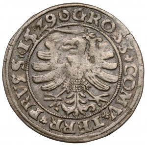 Sigismund I. der Alte, Grosz Toruń 1529