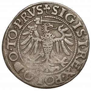 Sigismund I the Old, Penny Elblag 1539