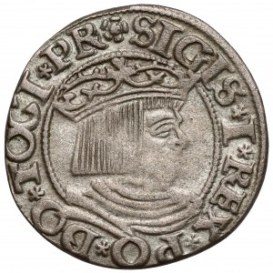 Žigmund I. Starý, gdanské pero 1535 - kvety