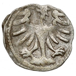 Alexander Jagiellonian, Vilnius Denarius - SINGLE.