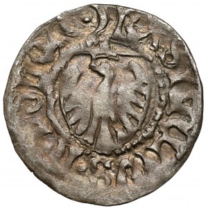 Casimir IV Jagiellonian, the Gdansk Shelrog - double cross / crescent