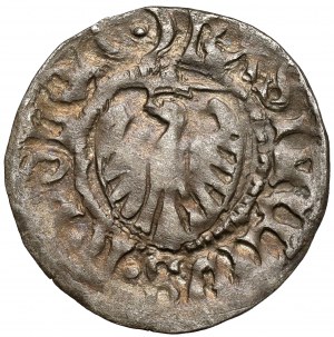 Casimir IV Jagiellonian, the Gdansk Shelrog - double cross / crescent