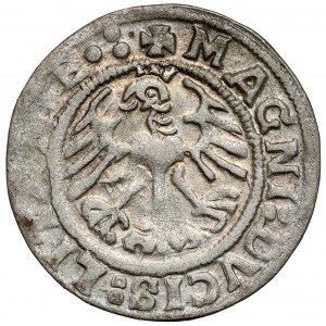 Sigismund I. der Alte, halber Pfennig Vilnius 1519 - LITANIEN Fehler
