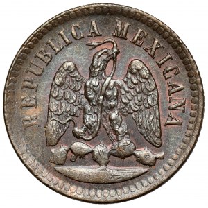 Mexico, 1 centavo 1889