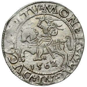Zikmund II August, půlpenny Vilnius 1562