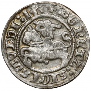 Sigismund I. der Alte, Halber Pfennig Vilnius 1513