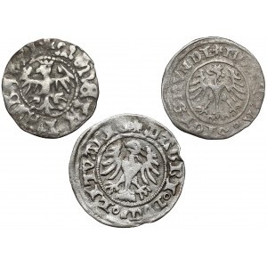 Casimir IV Jagiellonian - Sigismund I the Old, set of half-pennies (3pcs)