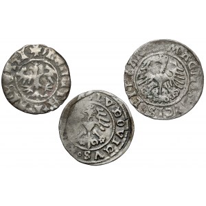Poland and Swidnica, set of half-pennies (3pcs)