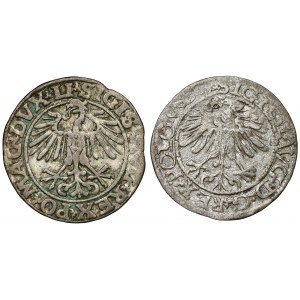 Sigismund II Augustus, halber Pfennig Vilnius 1550 und 1565 (2 Stück)