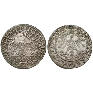Sigismund II Augustus, halber Pfennig Vilnius 1558 und 1559 (2 Stück)