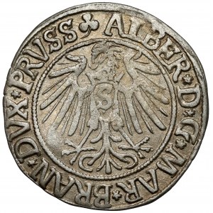 Prusko, Albrecht Hohenzollern, Grosz Königsberg 1541 - dlouhé vousy