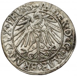 Prusko, Albrecht Hohenzollern, Grosz Königsberg 1543 - dlouhé vousy