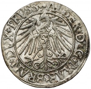 Prusy, Albrecht Hohenzollern, Grosz Królewiec 1543 - długa broda