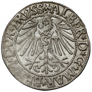 Prusy, Albrecht Hohenzollern, Grosz Królewiec 1544
