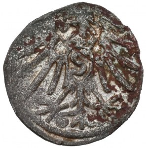 Prussia, Albrecht Hohenzollern, Königsberg denarius no date