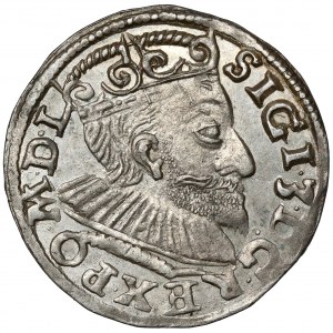 Sigismund III. Wasa, Trojak Poznań 1593