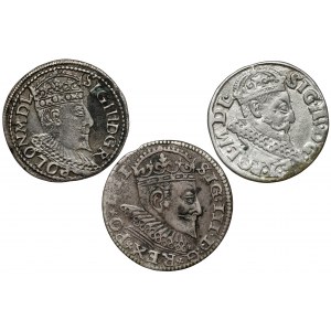 Sigismund III Vasa, Troikas 1594-1621 (3pc)