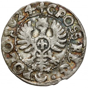 Sigismund III Vasa, Bydgoszcz penny 1624