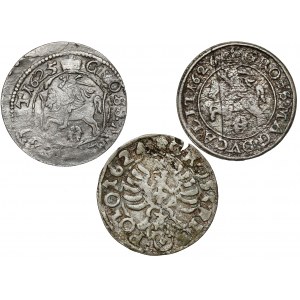 Sigismund III Vasa, Pennies of Vilnius and Bydgoszcz 1624-1626 (3pc)