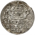 Zikmund III Vasa, Bydgoszcz penny 1623 - Pilawa