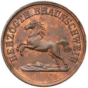 Braunschweig, Pfennig 1859