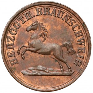 Brunswick, Pfennig 1859