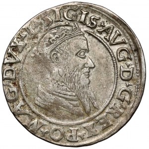 Sigismund II Augustus, Fourfold Vilnius 1569 - rare