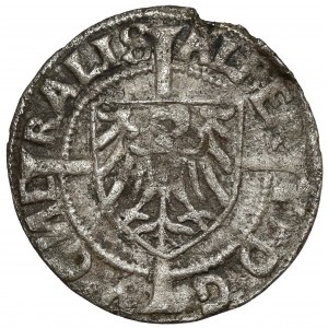 Deutscher Orden, Albrecht Hohenzollern, Grosz Königsberg 1523 - sehr selten