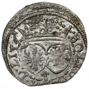 Žigmund III Vasa, Úkryt vo Vilniuse 1617