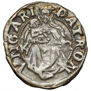 Hungary, Vladislaus II (1490-1516) Denar